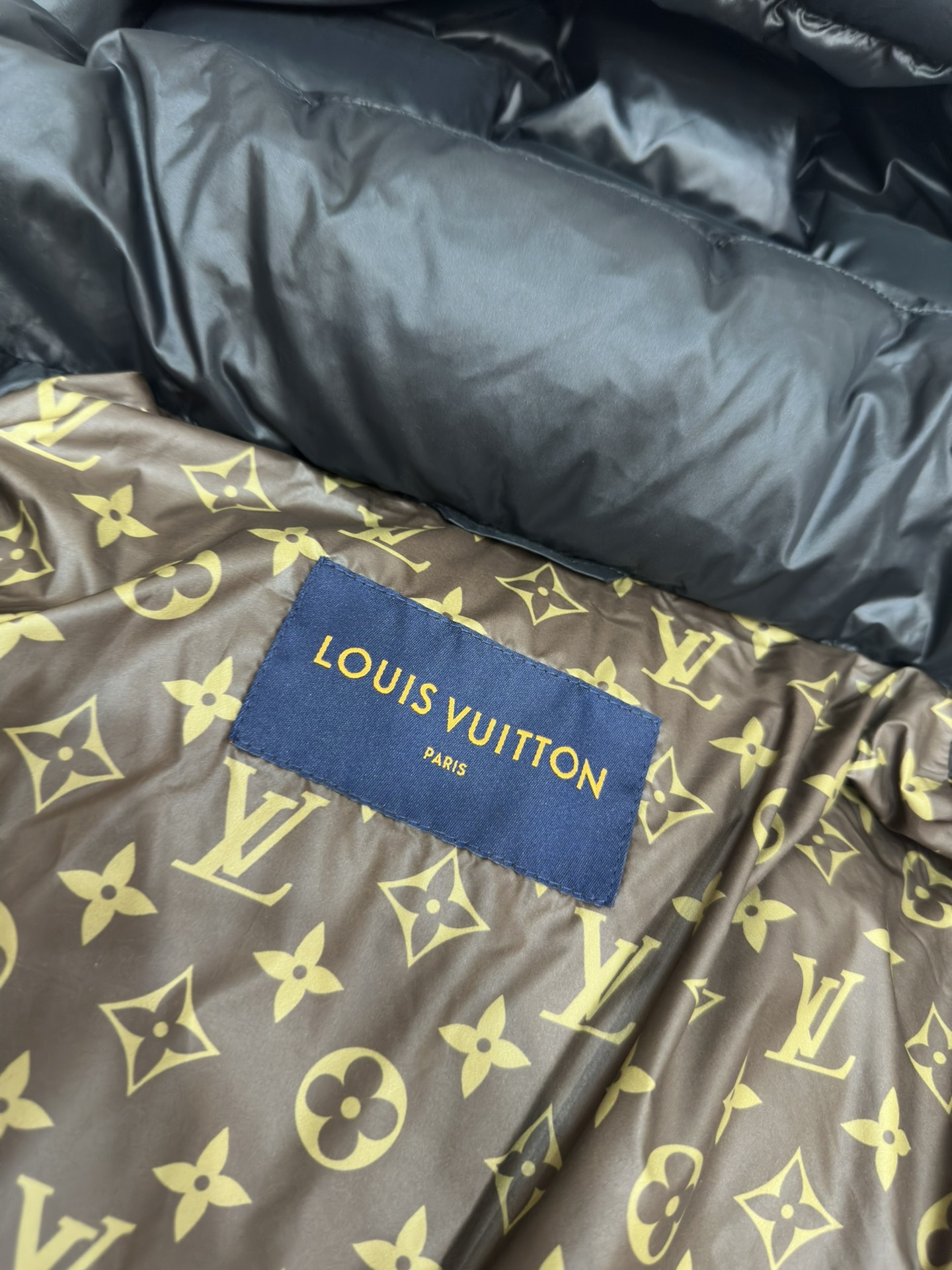 Louis Vuitton Down Jackets